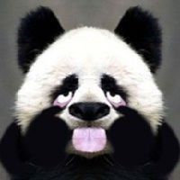 201109161124593729.jpg