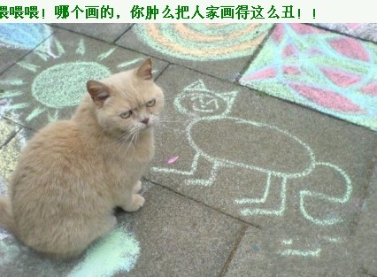 201109141311407215.jpg