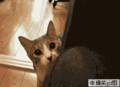 201108301047399092.gif