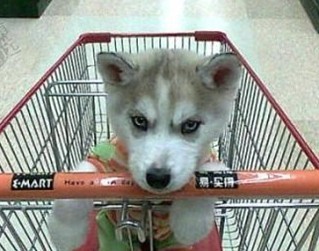 201109062001148794.jpg