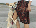 201108290032175610.gif