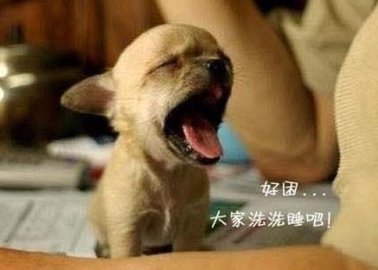 201108272059216165.jpg