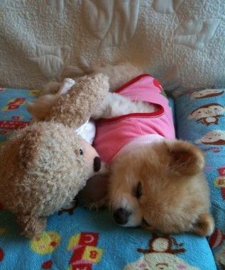 201108241040401937.jpg