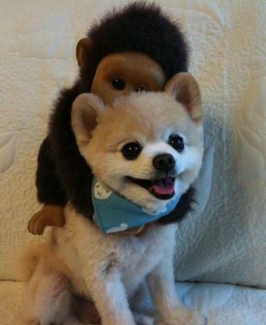 201108222136364244.jpg