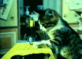 201108182341022005.gif