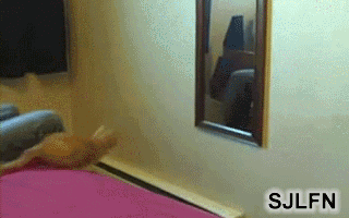 201108161033304320.gif