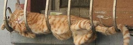 201108121206513356.jpg