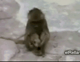201108121201020505.gif