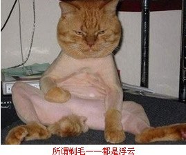 201108110953343090.jpg