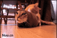 201108110950459901.gif
