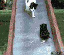1653020353171373.gif 201108100937573804.gif