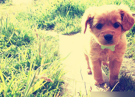 201108051055458898.jpg