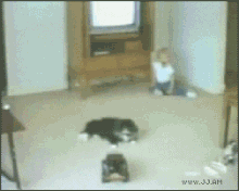 201107311114173511.gif