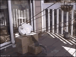 201107311111402888.gif