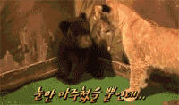 201107211804390471.gif