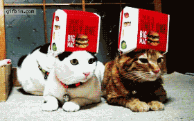201107200832574077.gif
