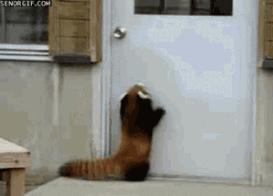 201107200831077564.gif