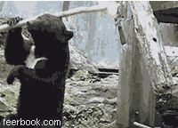 201107190008560017.gif