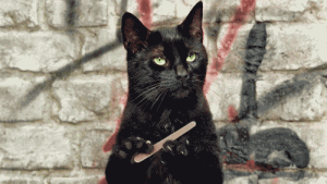 201107180938074656.gif