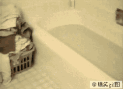 201107180935426681.gif