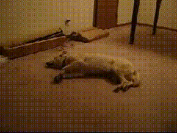201107180930585420.gif