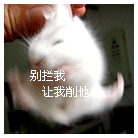 1653369508214648.gif 201107110633292415.gif