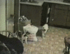 201107050714231967.gif