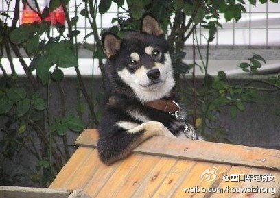 201107031114386213.jpg