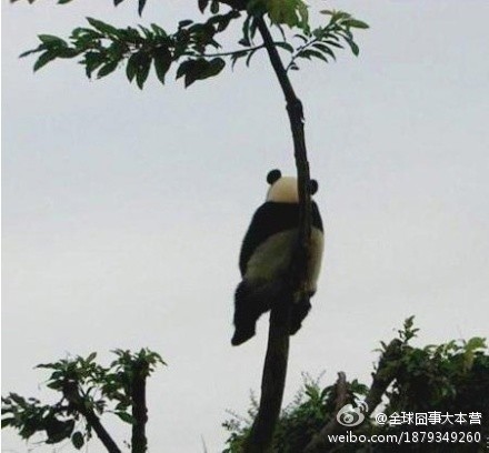 201107031113434297.jpg