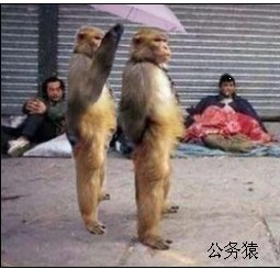201106081016377293.jpg