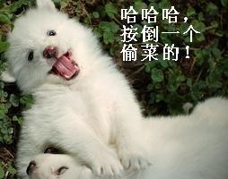 201104230114475883.jpg