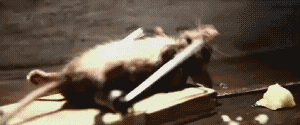 201104230110167242.gif