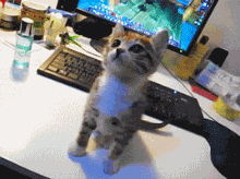 201104221031567515.gif