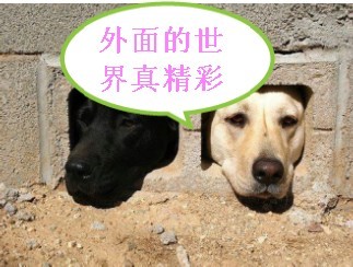 201104021937372816.jpg