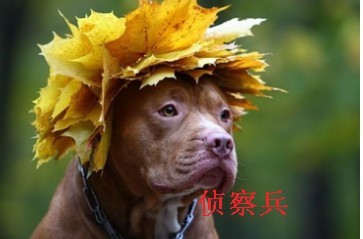 201104021935553429.jpg