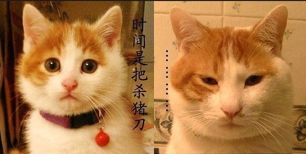 201104021935205630.jpg