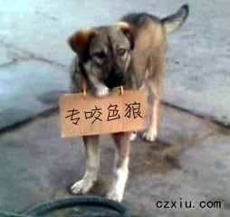 201103301518286314.jpg