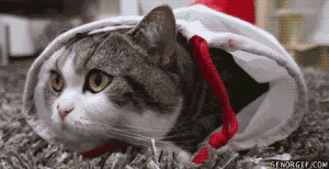 201103222037098013.gif