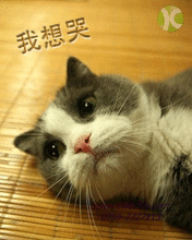 201101071759444361.gif