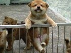 201012132048161719.jpg