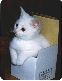 201009250954324462.gif