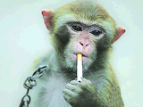 200909291724338881.gif