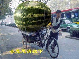 201202021123300577.jpg
