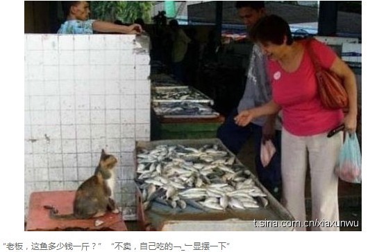 201102031421406005.jpg