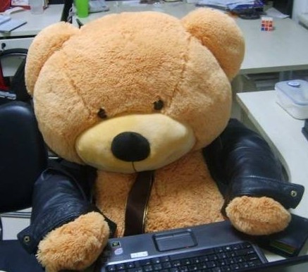 201010260740426222.jpg