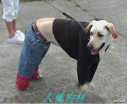 201009141951168391.jpg