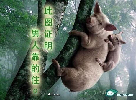 201009031041268885.jpg