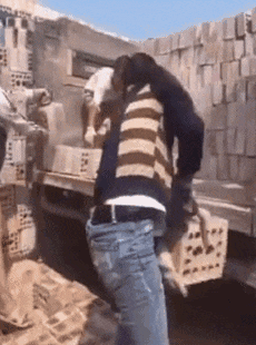 202205231705524971.gif