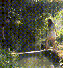 zr1035.gif