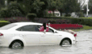 1656426283248675.gif zr1032.gif